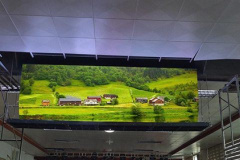 How to identify the brightness level of roll-up LED display?